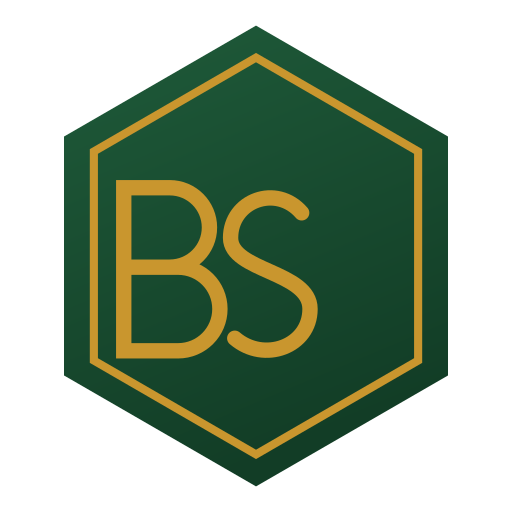 B & S Chapter 1 Ltd logo