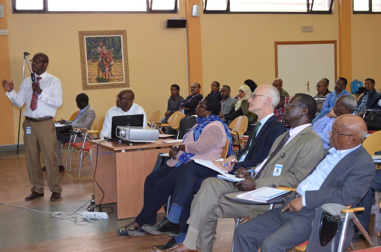 SiBI Fellowship Network
